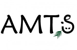 AMTS_Logo-Solo-small