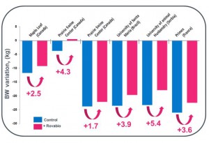 Esquema 1: Resultados de 6 estudios en el mundo. Pérdida de peso durante la lactancia