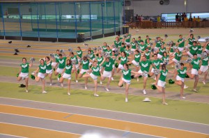 TIC 2015 2