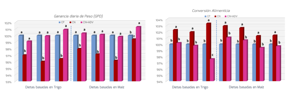 Advance BWG Graph