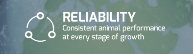 RELIABILITY: Consistent animal performance at every stage of growth