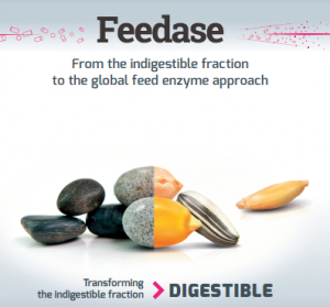 Feedase Strategy - Enzyme