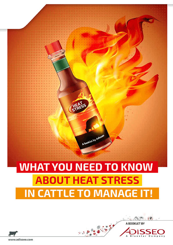 WHAT YOU NEED TO KNOW ABOUT HEAT STRESS IN CATTLE TO MANAGE IT!