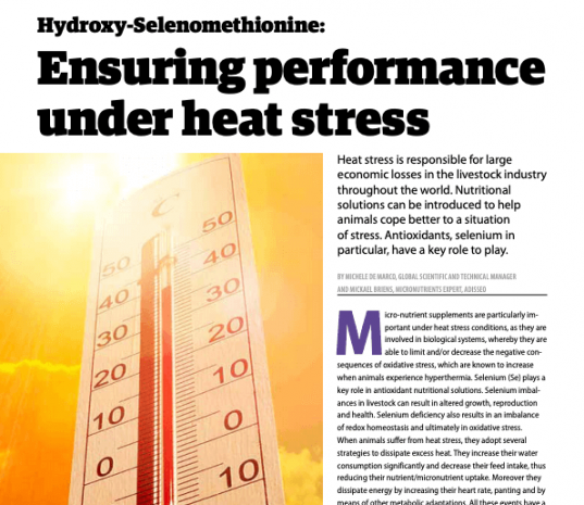 Ensuring performance under heat stress