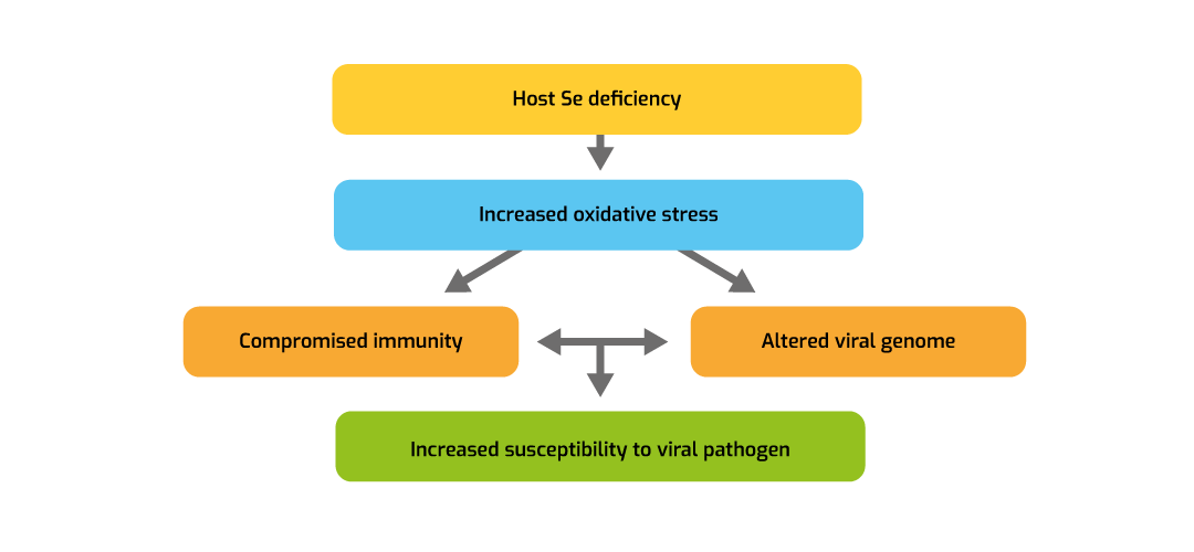 Figure 1. Effects of Se on viral diseases