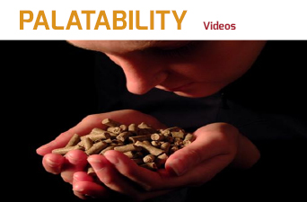 HELPING NUTRITION HAPPEN VIDEOS TO EXPLAIN PALATABILITY AT ADISSEO! -  Adisseo