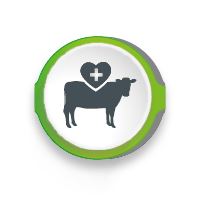 MycoMan App, Mycotoxins Management, The right risk assessment, Adisseo