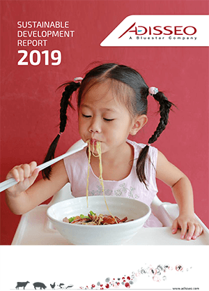 Sustainable development report 2019