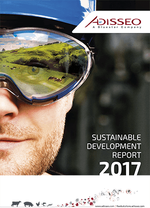 Sustainable development report 2017