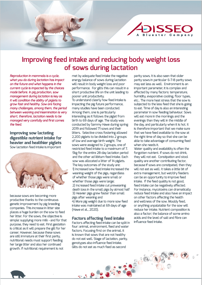 Improving feed intake and reducing body weight loss of sows during lactation