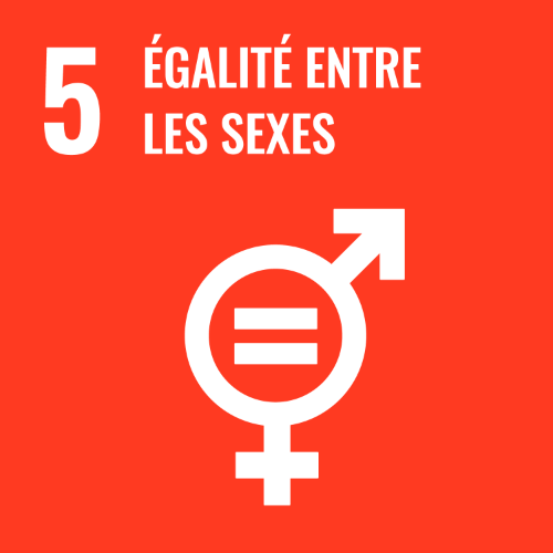 5 - Egalité entre les sexes