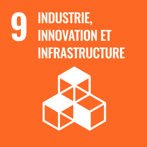 9 - Industrie, innovation et infrastructure