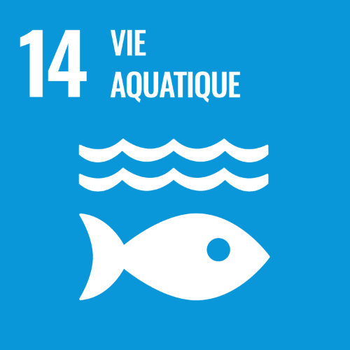 14 - Vie Aquatique