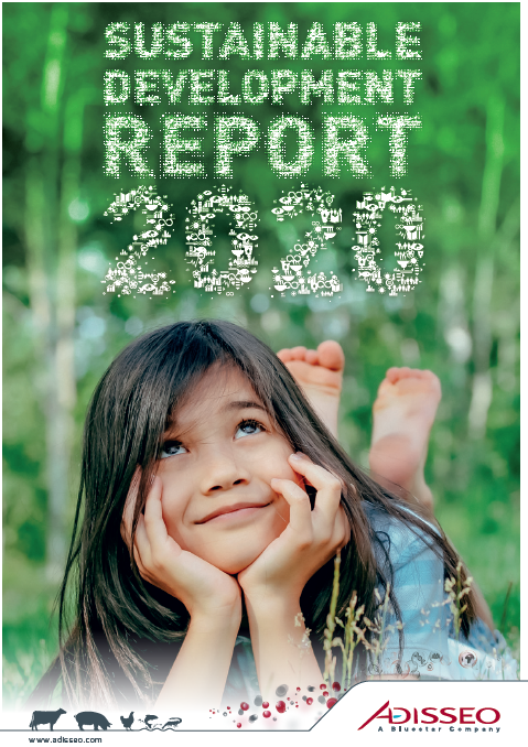 Sustainable development report 2020