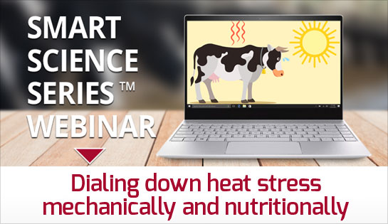 Smart Science Series Videos on Heat Stress in Ruminants