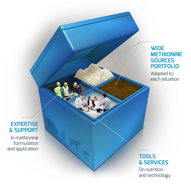 1. WIDE METHIONINE SOURCES PORTFOLIO: Adapted to each situation. - 2. EXPERTISE &amp; SUPPORT: In methionine formulation and application - 3. TOOLS &amp; SERVICES: On nutrition and technology.