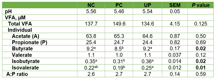 Rumen parameters of the in vivo trial