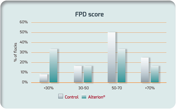 Alterion® reduced severe foot pad dermatitis scores in broilers under commercial conditions