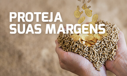 Proteja suas margens