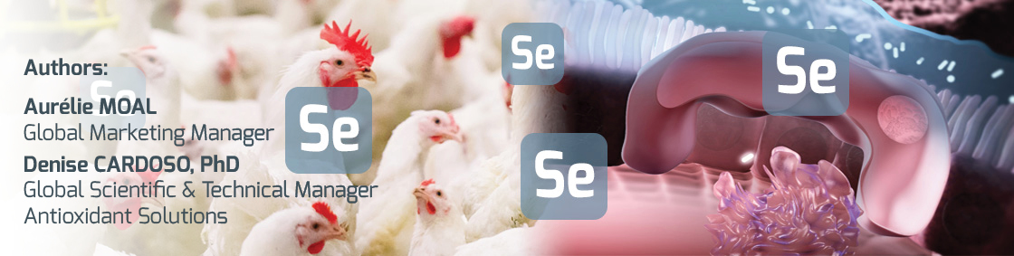 Banner on Benefits of selenium on Poultry