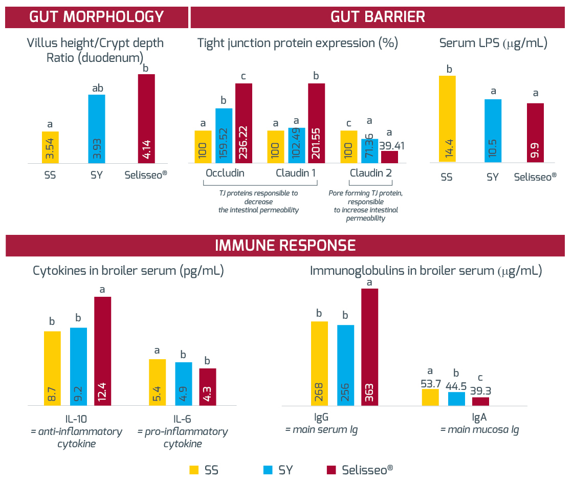 Figure on Poultry Immunity Performance