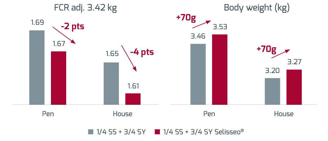 Figure on poultry immunity performance with selenium