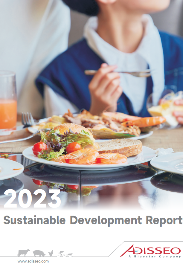 Sustainable development report 2023