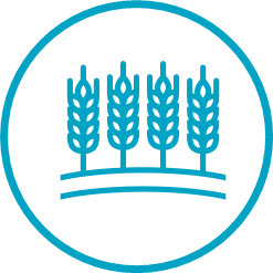 Ensure Feed Safety